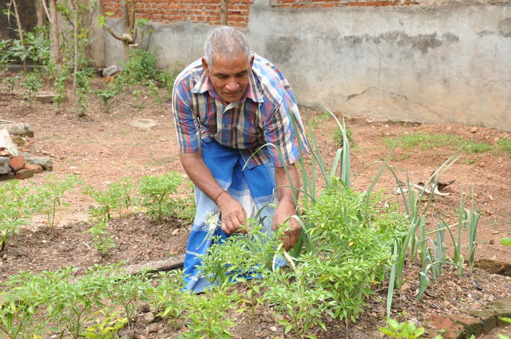 Bangalawa Acomodação com café da manhã Nawala Exterior foto